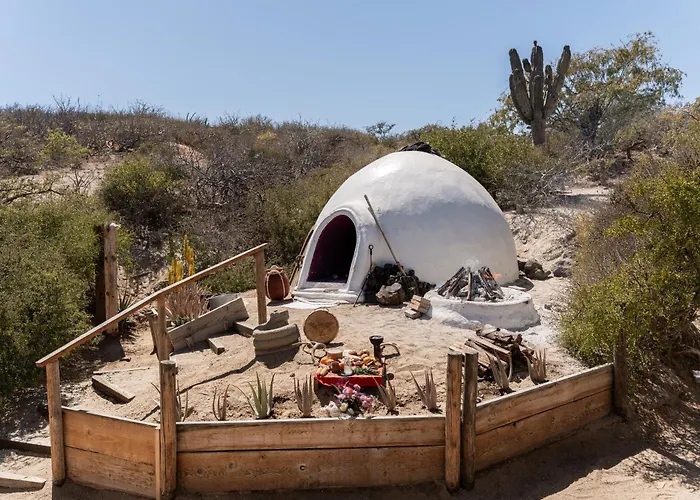 Nest Baja, A Member Of Design Hotel San Jose del Cabo