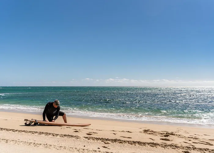 Nest Baja, A Member Of Design Hotel San Jose del Cabo