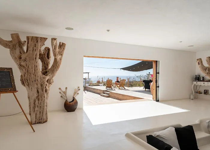 Nest Baja, A Member Of Design