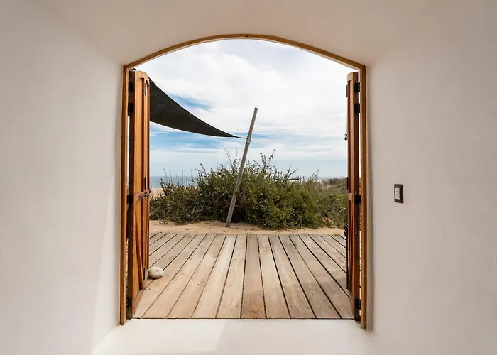 Nest Baja, A Member Of Design